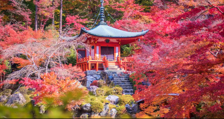 An Introduction to Yamashina, Eastern Kyoto’s Treasure Trove of Living Traditions