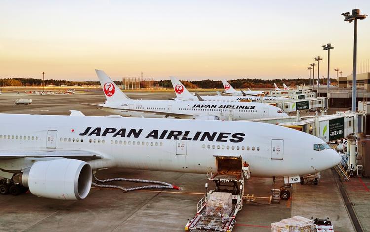 Japan Airlines Is Giving Away 100,000 Free Flights! How To Get Your Ticket & More Explained
